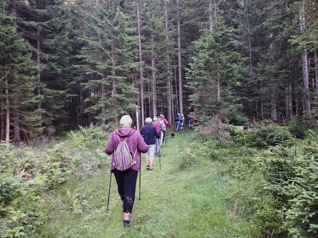 Obisk pokljuškega barja (24. julij 2026)